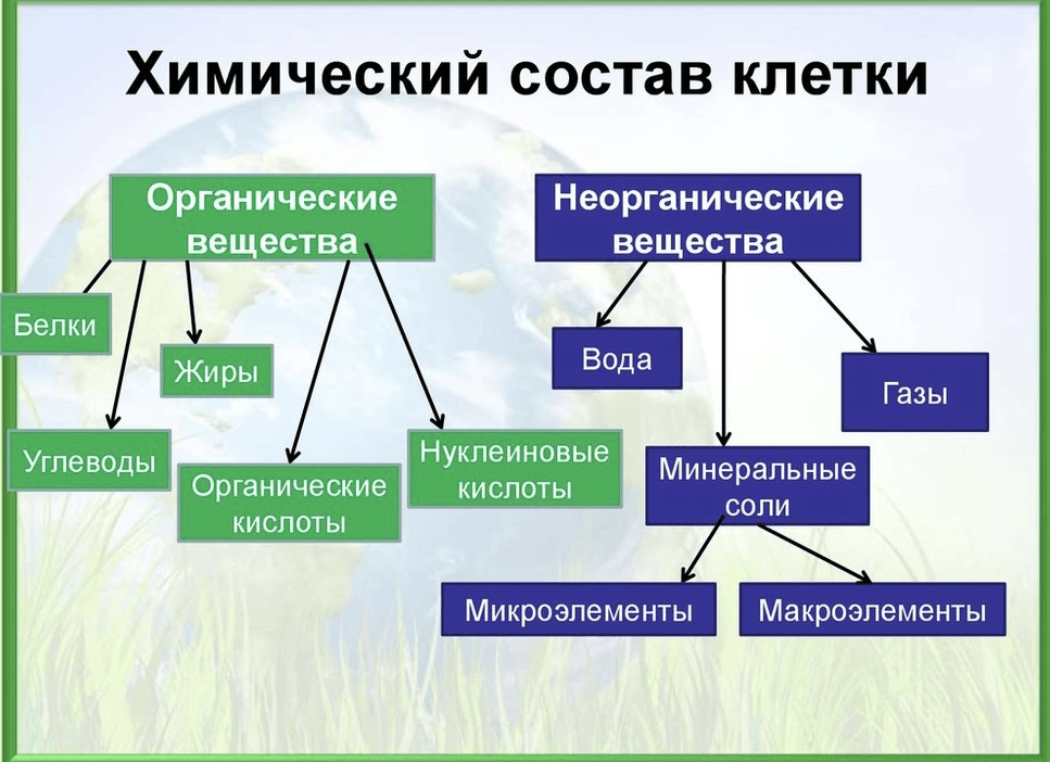 Решение рисунок 1
