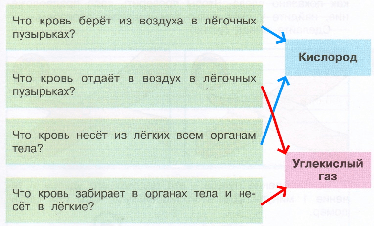 Решение рисунок 1