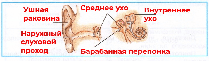 Решение рисунок 2