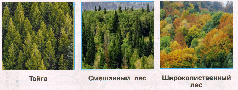 Решение рисунок 1