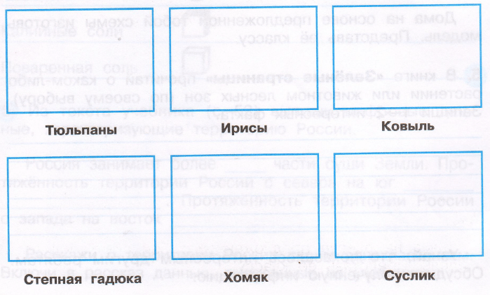 Задание рисунок 1