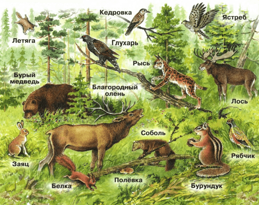Задание рисунок 1