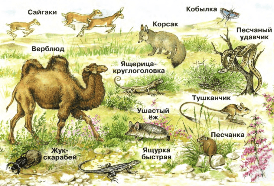 Задание рисунок 1