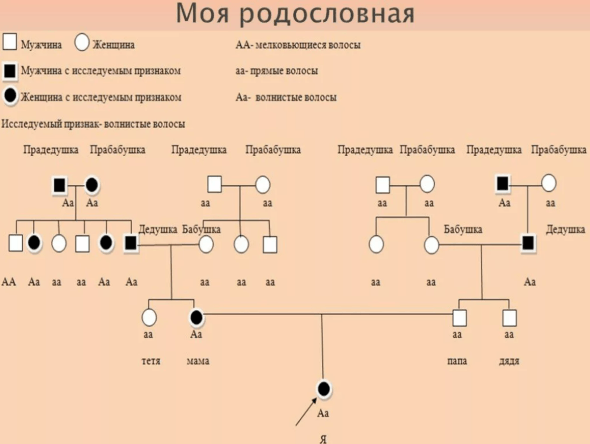 Решение рисунок 1