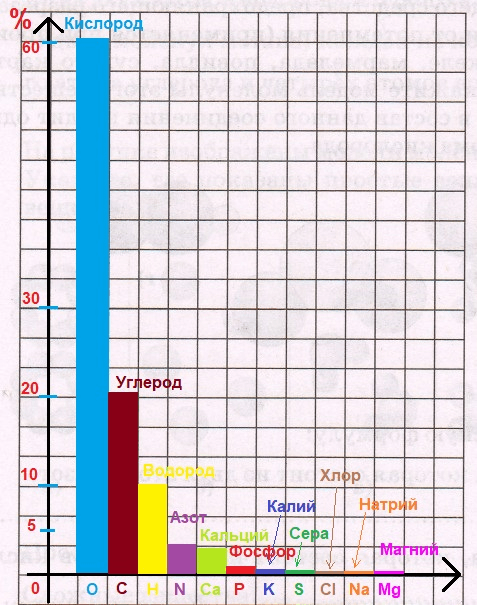 Решение рисунок 1