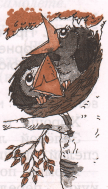 Задание рисунок 1