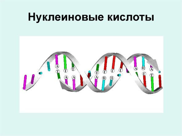 Решение рисунок 1