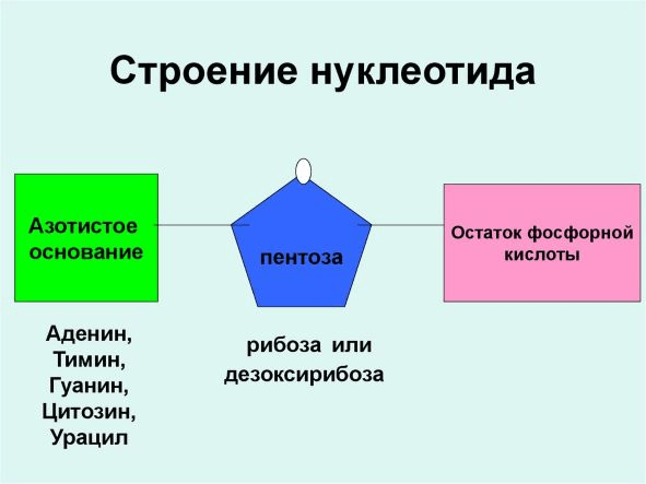 Решение рисунок 2
