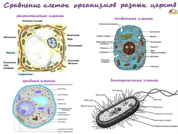 Решение рисунок 1