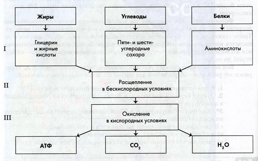 Решение рисунок 1