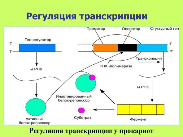 Решение рисунок 1