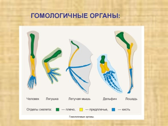 Решение рисунок 2