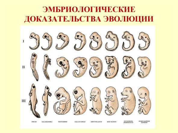 Решение рисунок 3