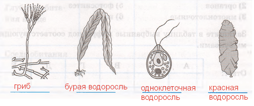Решение рисунок 1