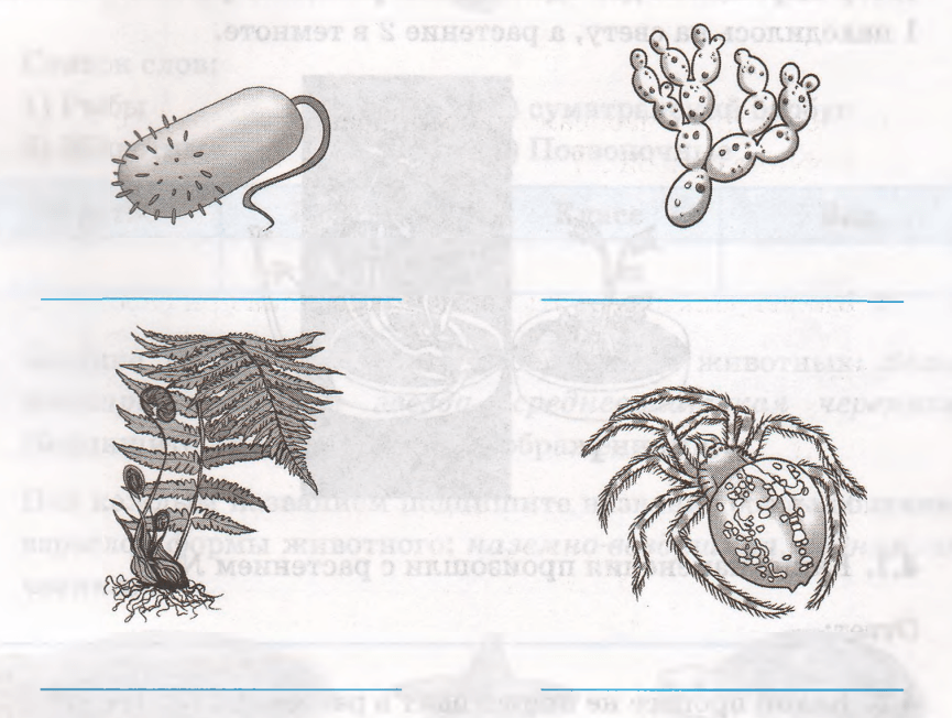 Задание рисунок 1