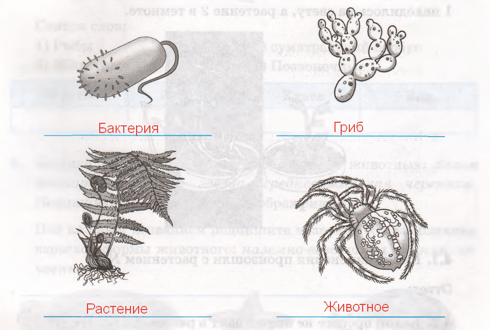 Решение рисунок 1