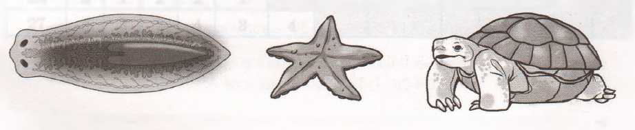 Задание рисунок 1