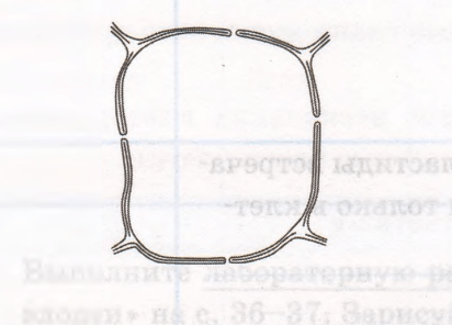 Задание рисунок 1