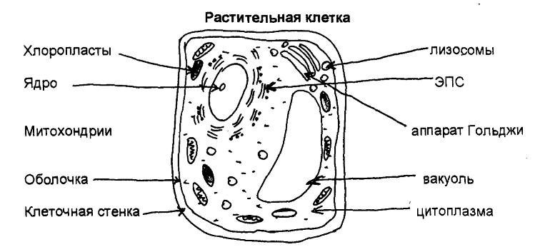 Решение рисунок 2
