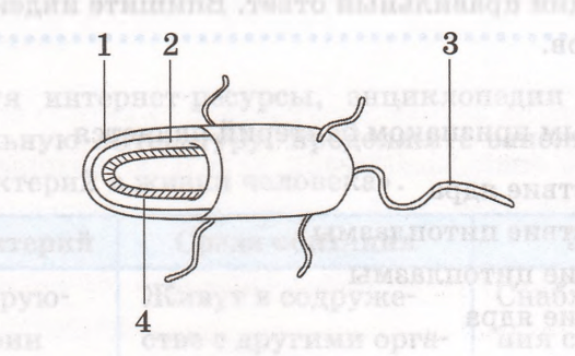 Решение рисунок 1