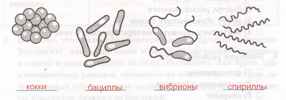 Решение рисунок 1