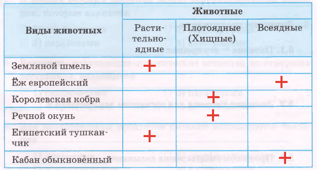 Решение рисунок 1