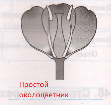 Решение рисунок 2