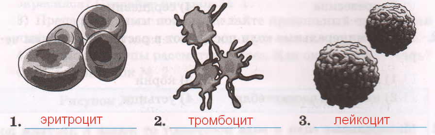 Решение рисунок 1