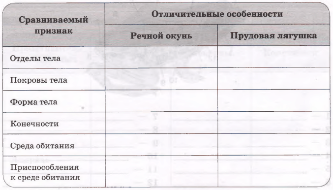 Задание рисунок 1