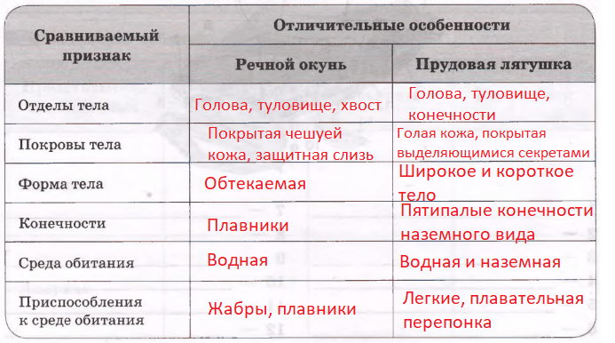 Решение рисунок 1