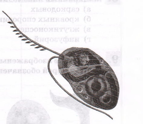 Задание рисунок 1