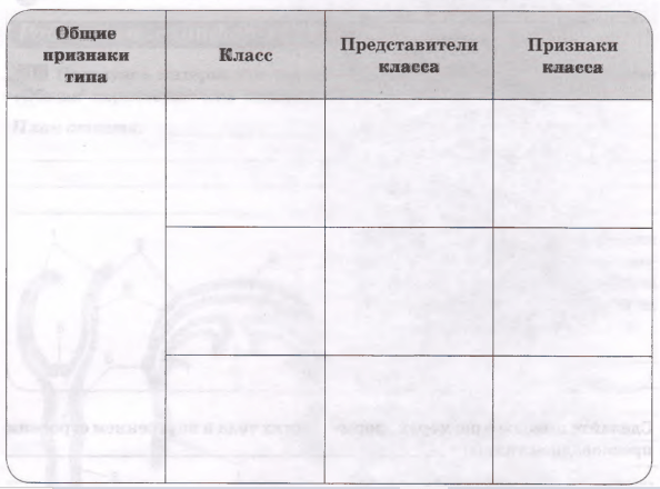 Задание рисунок 1