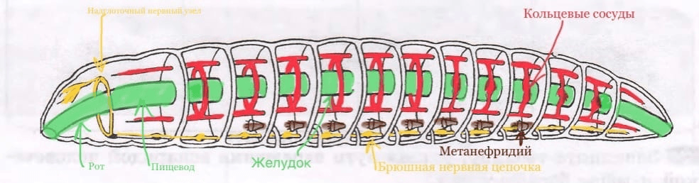 Решение рисунок 1