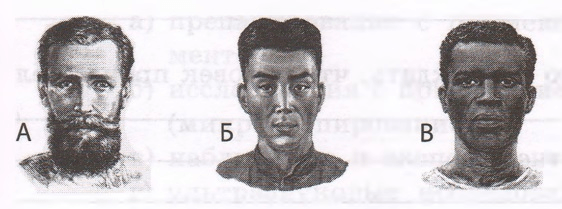 Задание рисунок 1
