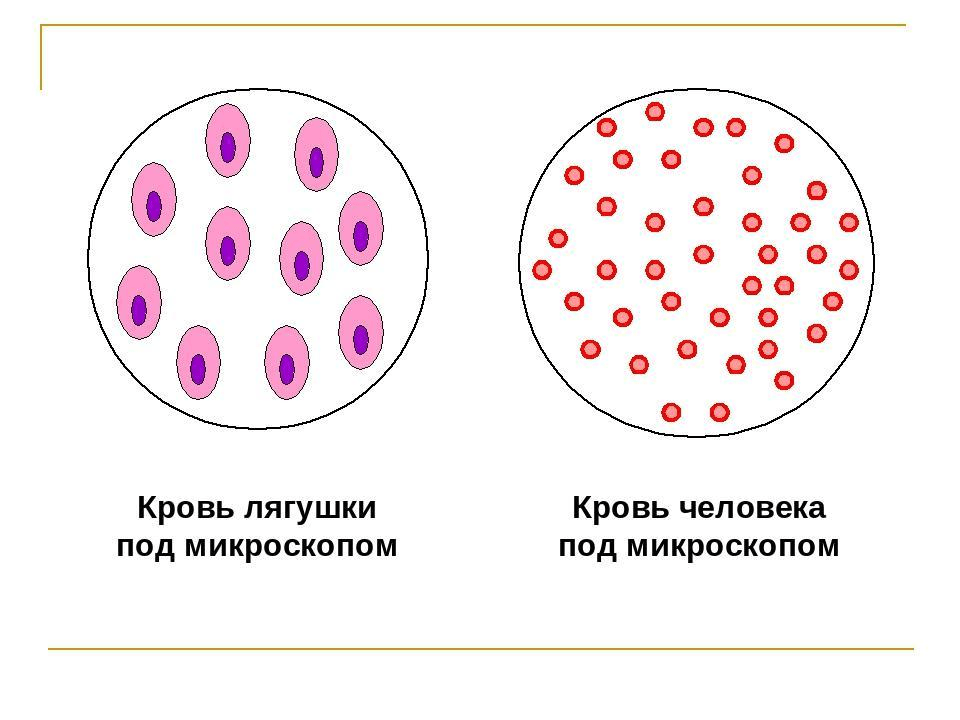 Решение рисунок 1