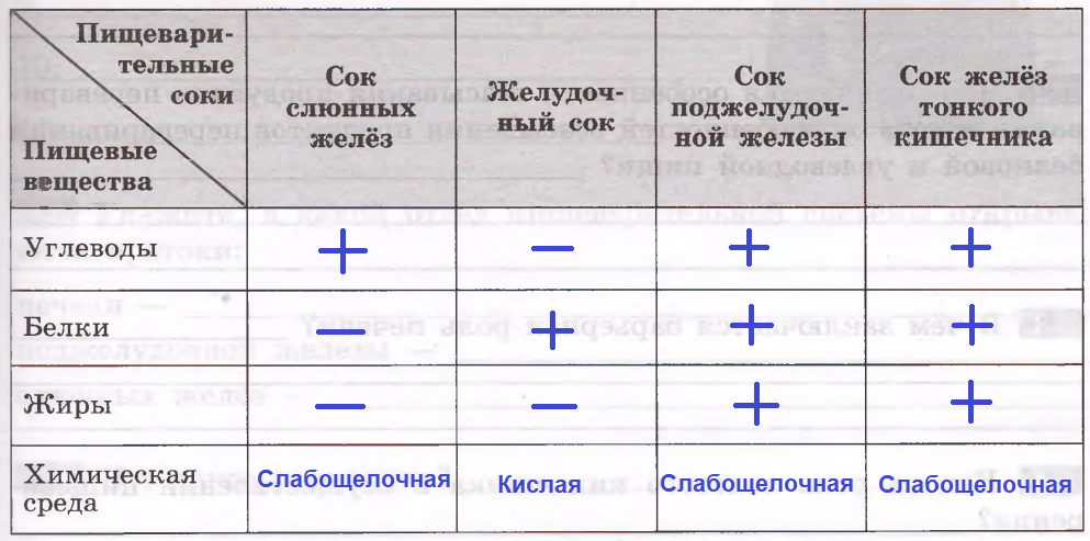 Решение рисунок 1