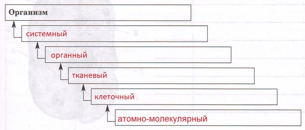 Решение рисунок 1