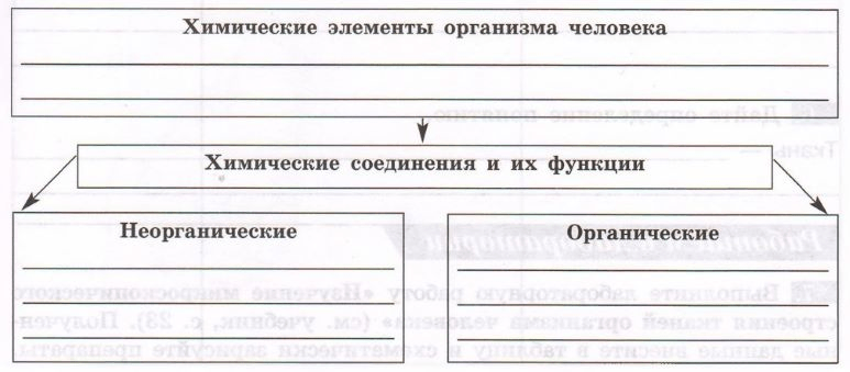 Задание рисунок 1