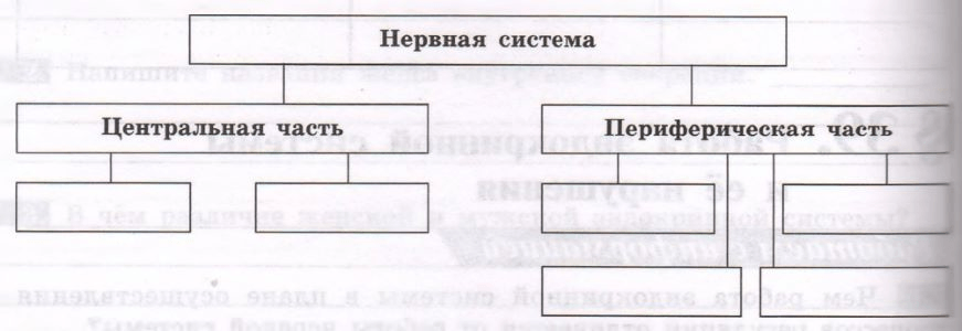 Задание рисунок 1