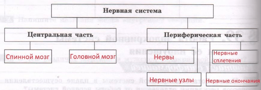 Решение рисунок 1