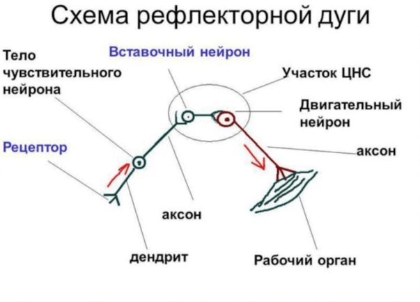 Решение рисунок 1
