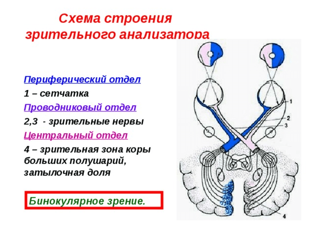 Решение рисунок 1