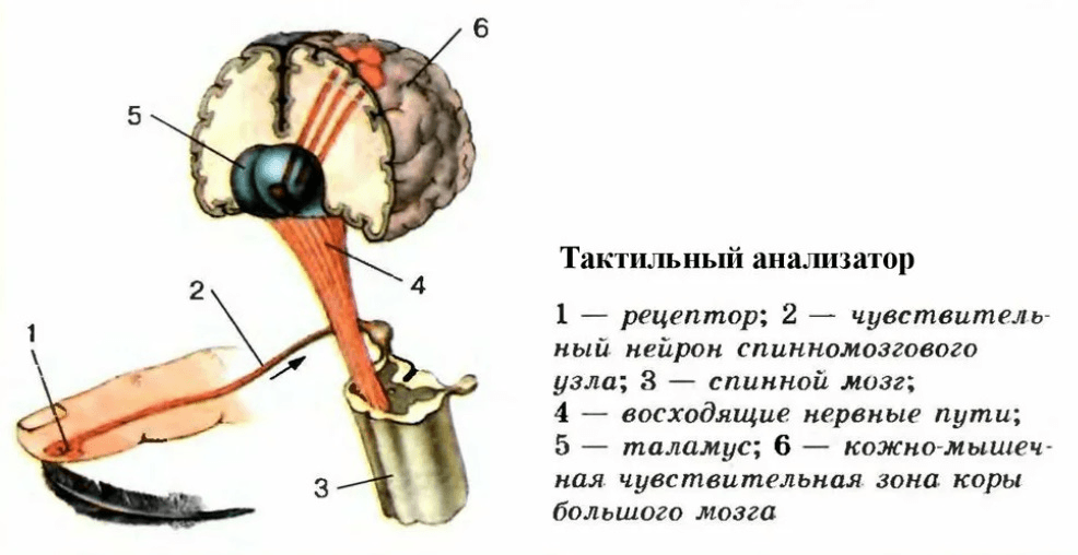 Решение рисунок 1