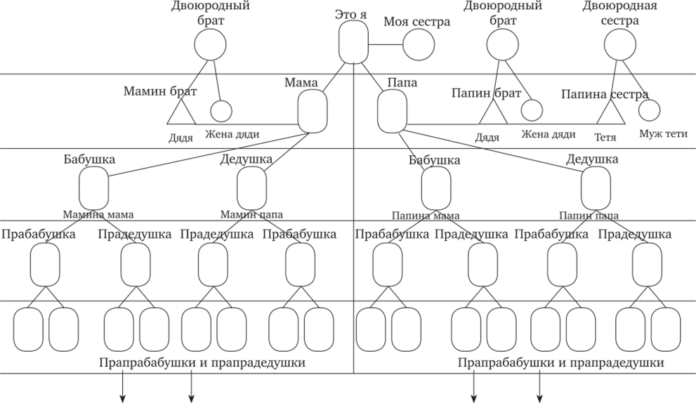 Схема братья 1 класс