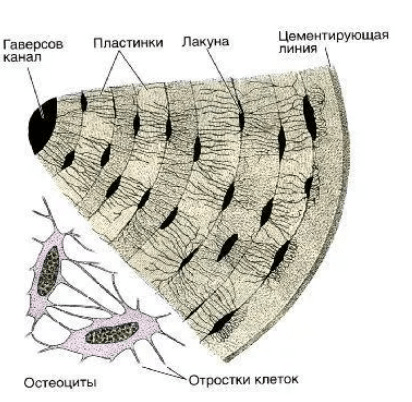 Решение рисунок 2