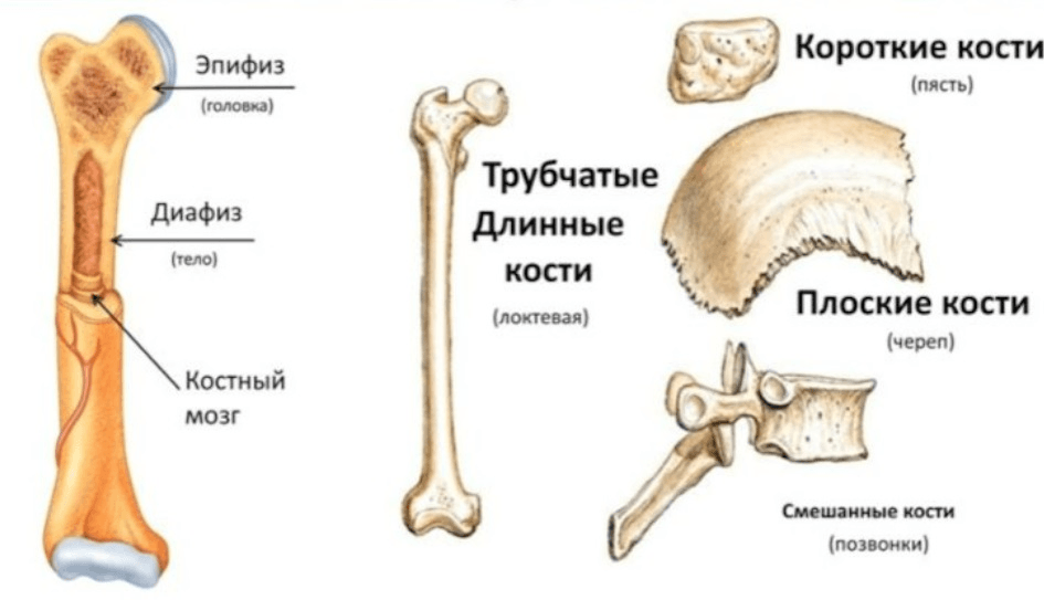 Решение рисунок 1