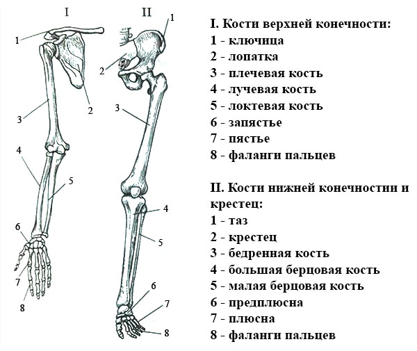 Решение рисунок 1