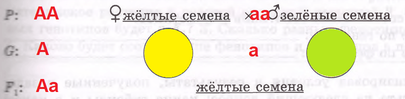 Решение рисунок 1