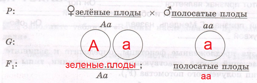Решение рисунок 1
