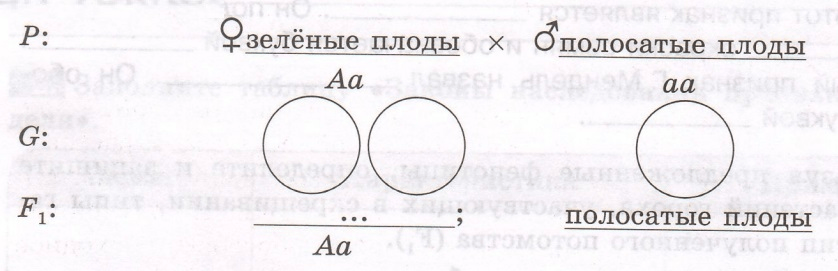 Задание рисунок 1